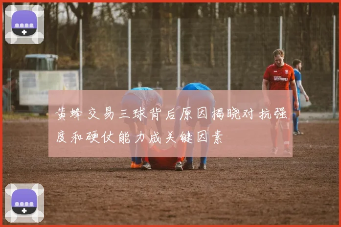 黄蜂交易三球背后原因揭晓对抗强度和硬仗能力成关键因素