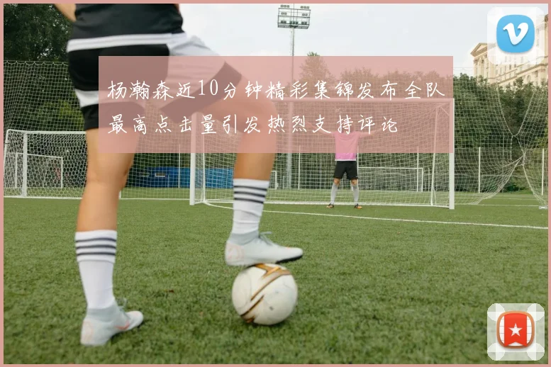 杨瀚森近10分钟精彩集锦发布全队最高点击量引发热烈支持评论
